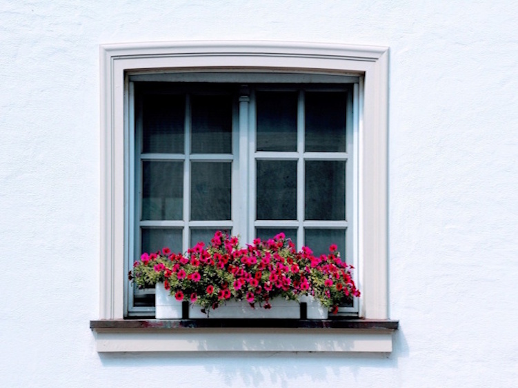 Blinds & Shutters in Wickham Market